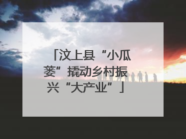 汶上县“小瓜蒌”撬动乡村振兴“大产业”