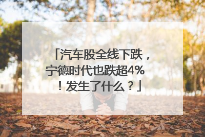 汽车股全线下跌，宁德时代也跌超4%！发生了什么？