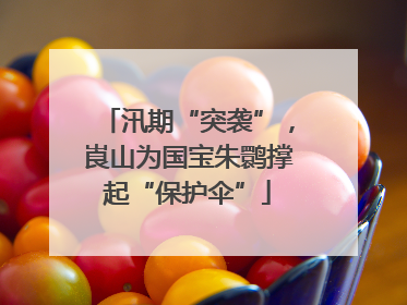 汛期“突袭”，崀山为国宝朱鹮撑起“保护伞”