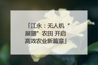 江永：无人机“展翅”农田 开启高效农业新篇章