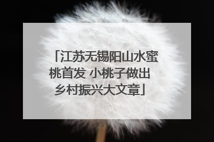 江苏无锡阳山水蜜桃首发 小桃子做出乡村振兴大文章