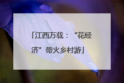 江西万载：“花经济”带火乡村游