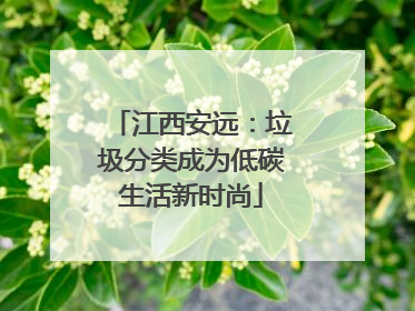 江西安远：垃圾分类成为低碳生活新时尚