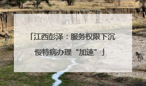 江西彭泽：服务权限下沉 慢特病办理“加速”