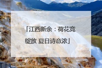 江西新余：荷花竞绽放 夏日诗意浓
