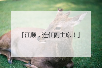 汪顺，连任副主席！