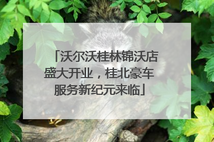 沃尔沃桂林锦沃店盛大开业，桂北豪车服务新纪元来临