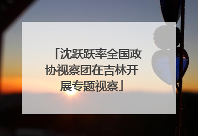 沈跃跃率全国政协视察团在吉林开展专题视察