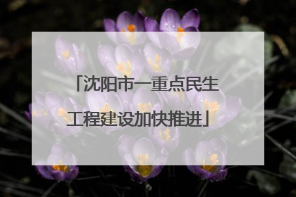 沈阳市一重点民生工程建设加快推进