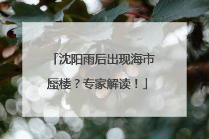 沈阳雨后出现海市蜃楼？专家解读！