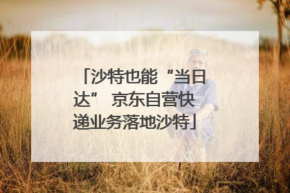 沙特也能“当日达” 京东自营快递业务落地沙特