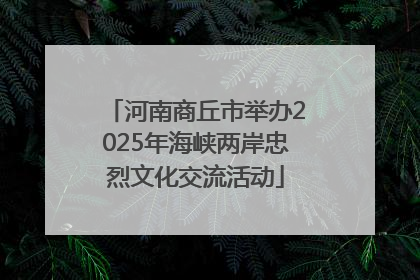河南商丘市举办2025年海峡两岸忠烈文化交流活动