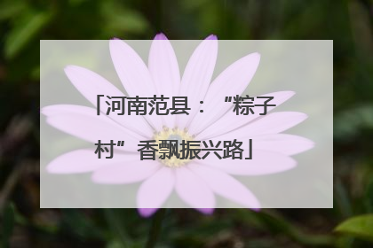 河南范县：“粽子村”香飘振兴路