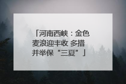 河南西峡：金色麦浪迎丰收 多措并举保“三夏”