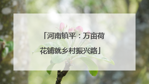 河南镇平：万亩荷花铺就乡村振兴路