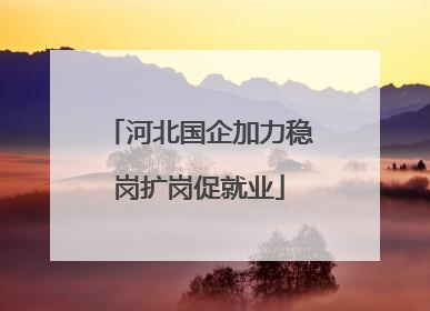 河北国企加力稳岗扩岗促就业