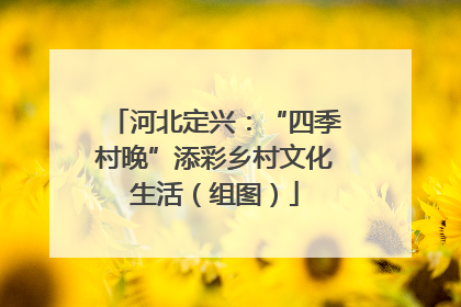 河北定兴：“四季村晚”添彩乡村文化生活（组图）