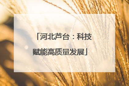 河北芦台：科技赋能高质量发展