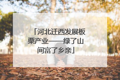 河北迁西发展板栗产业——绿了山间富了乡亲
