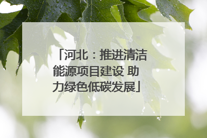 河北：推进清洁能源项目建设 助力绿色低碳发展