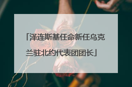 泽连斯基任命新任乌克兰驻北约代表团团长