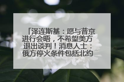 泽连斯基：愿与普京进行会晤，不希望美方退出谈判！消息人士：俄方停火条件包括北约“书面”保证不东扩