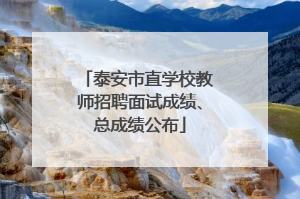 泰安市直学校教师招聘面试成绩、总成绩公布