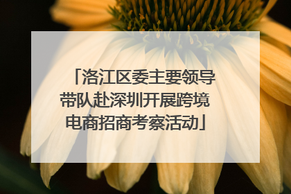洛江区委主要领导带队赴深圳开展跨境电商招商考察活动