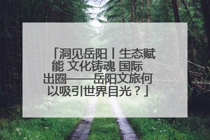洞见岳阳丨生态赋能 文化铸魂 国际出圈——岳阳文旅何以吸引世界目光？