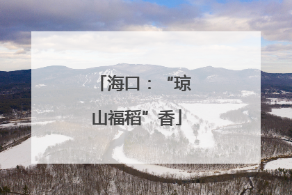 海口：“琼山福稻”香