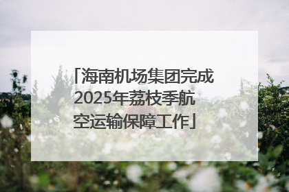 海南机场集团完成2025年荔枝季航空运输保障工作