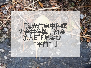 海光信息中科曙光合并停牌，资金杀入ETF基金找“平替”