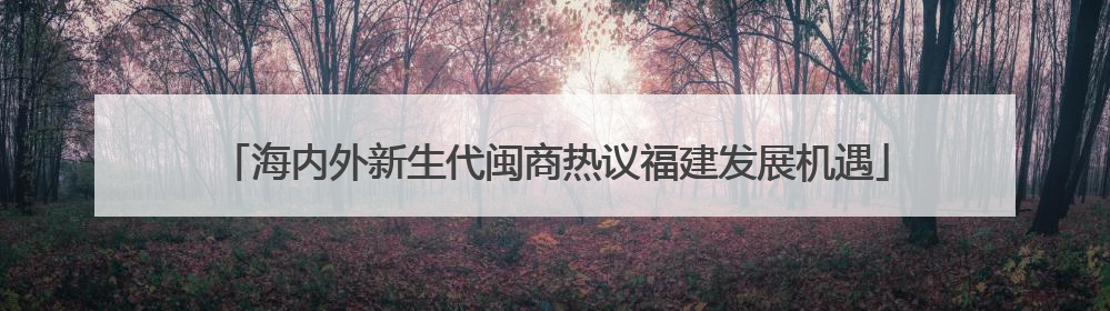 海内外新生代闽商热议福建发展机遇