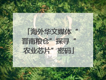 海外华文媒体“晋南粮仓”探寻“农业芯片”密码