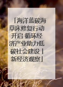 海洋蓝碳海草床修复行动开启 循环经济产业助力低碳社会建设丨新经济观察