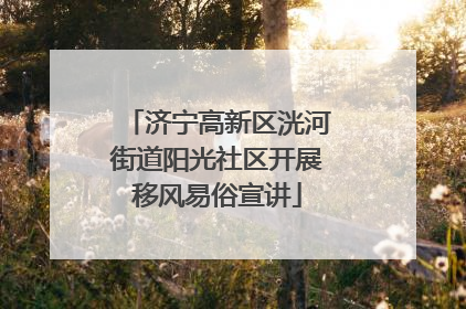 济宁高新区洸河街道阳光社区开展移风易俗宣讲