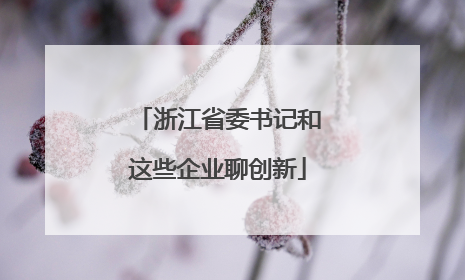 浙江省委书记和这些企业聊创新