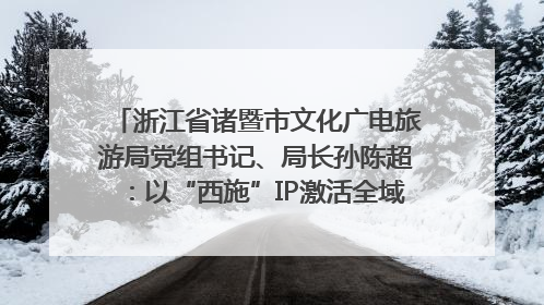 浙江省诸暨市文化广电旅游局党组书记、局长孙陈超：以“西施”IP激活全域旅游 打造县域文旅融合新标杆｜第七届全国县域旅游研究成果发布系列活动