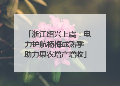 浙江绍兴上虞：电力护航杨梅成熟季 助力果农增产增收