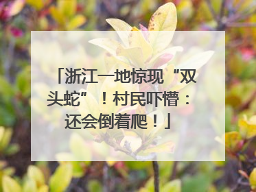 浙江一地惊现“双头蛇”！村民吓懵：还会倒着爬！