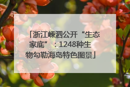 浙江嵊泗公开“生态家底”：1248种生物勾勒海岛特色图景