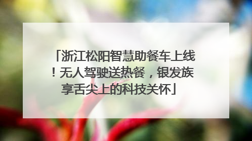 浙江松阳智慧助餐车上线！无人驾驶送热餐，银发族享舌尖上的科技关怀