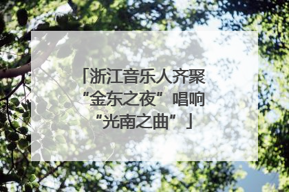 浙江音乐人齐聚“金东之夜”唱响“光南之曲”