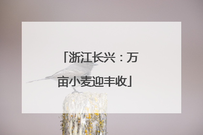 浙江长兴：万亩小麦迎丰收