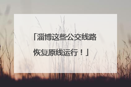 淄博这些公交线路恢复原线运行！