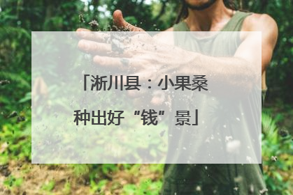 淅川县：小果桑种出好“钱”景