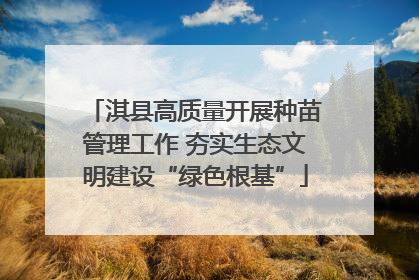淇县高质量开展种苗管理工作 夯实生态文明建设“绿色根基”
