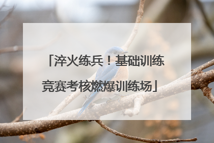 淬火练兵!基础训练竞赛考核燃爆训练场