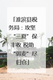淮滨县税务局：攻坚“三夏”保丰收 税助“弱麦”尽归仓