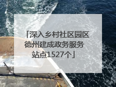 深入乡村社区园区 德州建成政务服务站点1527个
